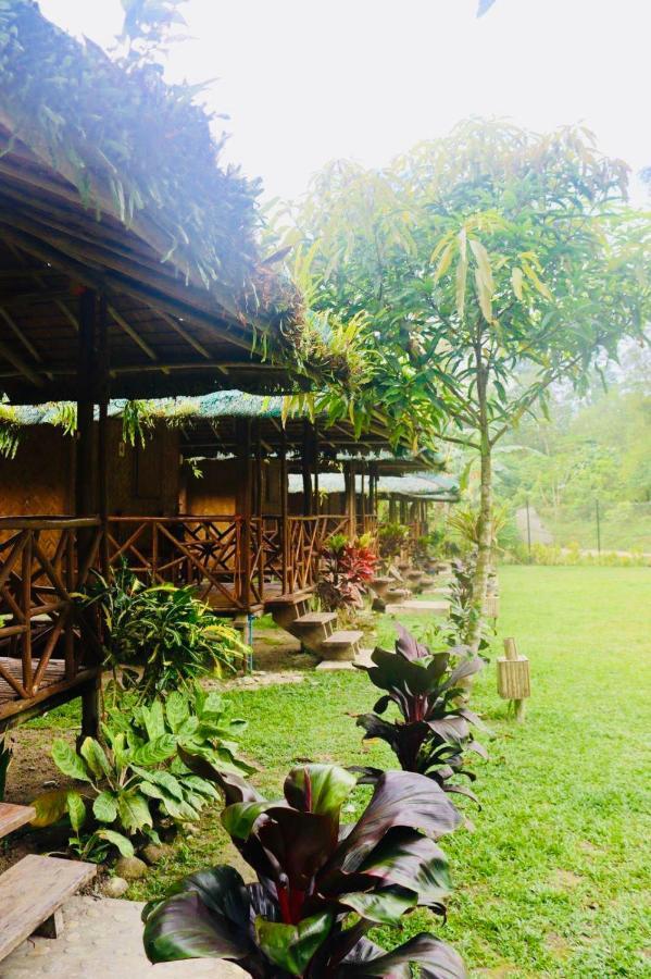 Back Trippers Inn San Vicente  Exterior foto